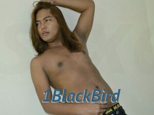 1BlackBird