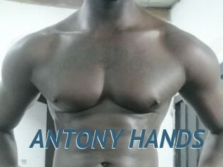 ANTONY_HANDS