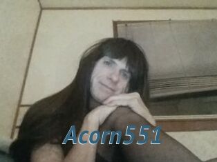 Acorn551