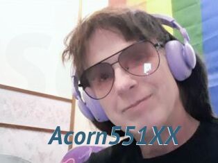 Acorn551XX
