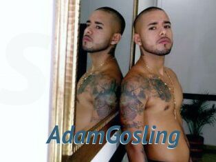 AdamGosling