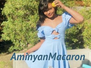 AminyanMacaron