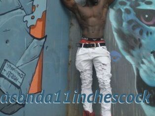 Anaconda11inchescock