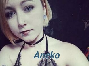 Aneko