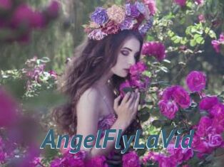 AngelFlyLaVid