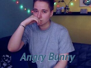 Angry_Bunny