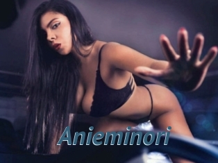 Anieminori