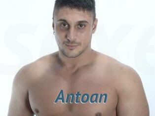 Antoan