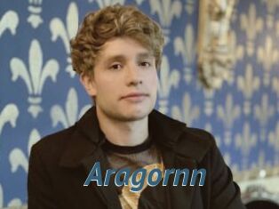 Aragornn