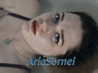 AriaSornei