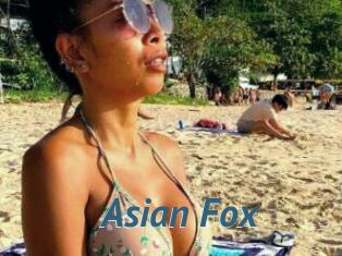Asian_Fox