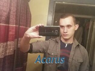Acarus