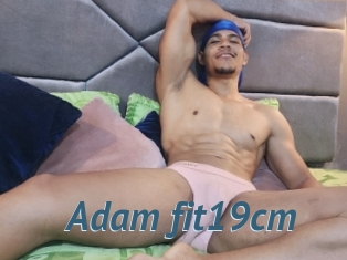 Adam_fit19cm