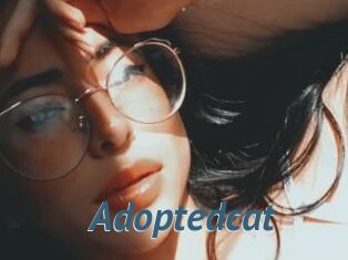 Adoptedcat