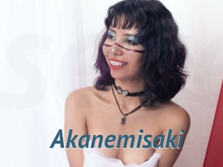Akanemisaki