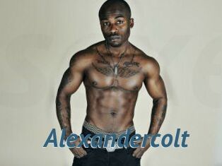 Alexandercolt