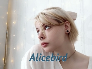 Alicebird