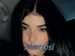 Alicerosi