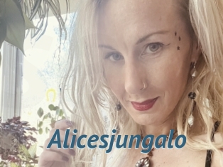 Alicesjungalo