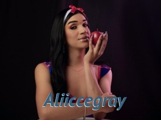 Aliiccegray