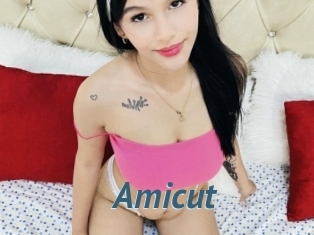 Amicut
