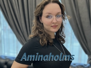 Aminaholms