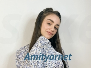 Amityarnet