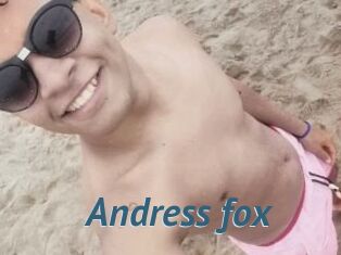 Andress_fox