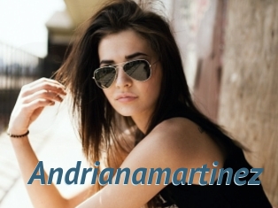 Andrianamartinez