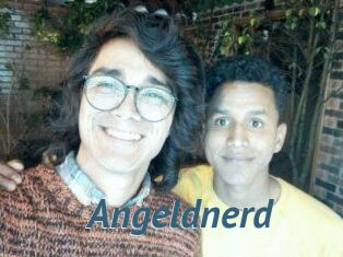 Angeldnerd