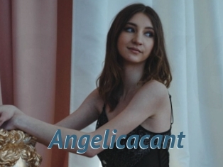 Angelicacant