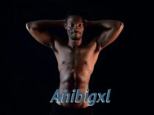 Anibigxl
