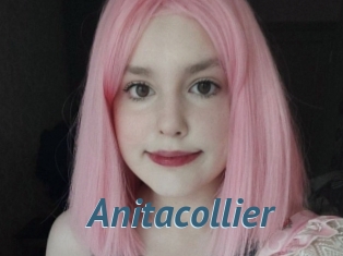 Anitacollier