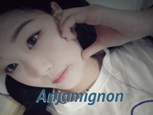 Anjamignon