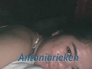 Antoniarieken