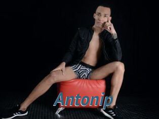 Antonip