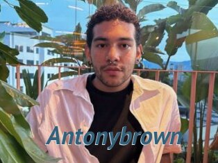 Antonybrown