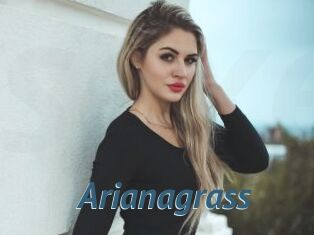 Arianagrass