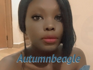 Autumnbeagle