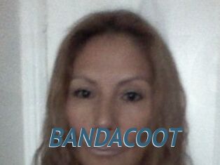 BANDACOOT