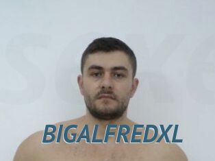 BIGALFREDXL