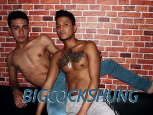 BIG_COCKS_HUNG