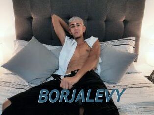 BORJALEVY