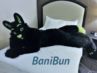 BaniBun