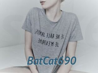 BatCat690