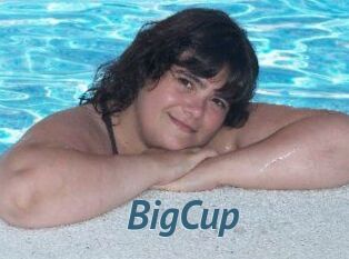 BigCup