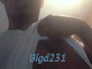 Bigd231
