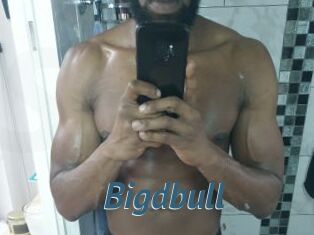Bigdbull