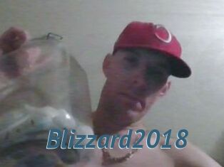 Blizzard2018