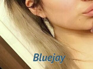 Blue_jay